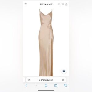 Shona Joy Champagne Maxi Dress - Size US 4